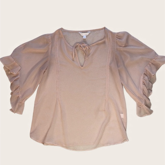 LC Lauren Conrad Tops - LC Lauren Conrad Light Pink Gingham Ruffle Short Sleeve Sheer Blouse